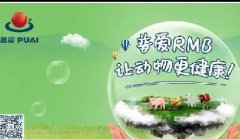 亮点大集合|普爱集团2020年“星火计划”集中训练营完美收官!