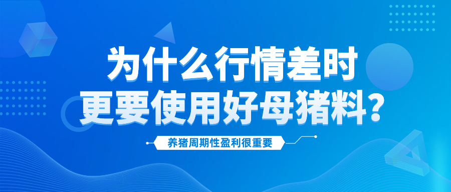 <b>为什么行情差时更要使用好母猪料?</b>
